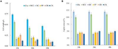 Transcriptomic and metabolomic analysis reveals the influence of carbohydrates on lignin degradation mediated by Bacillus amyloliquefaciens